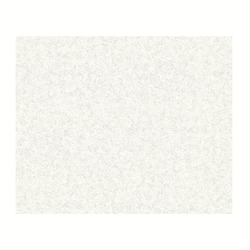 Обои виниловые Палитра HC45007-01, под покраску штукатурка (1,06х25 м)